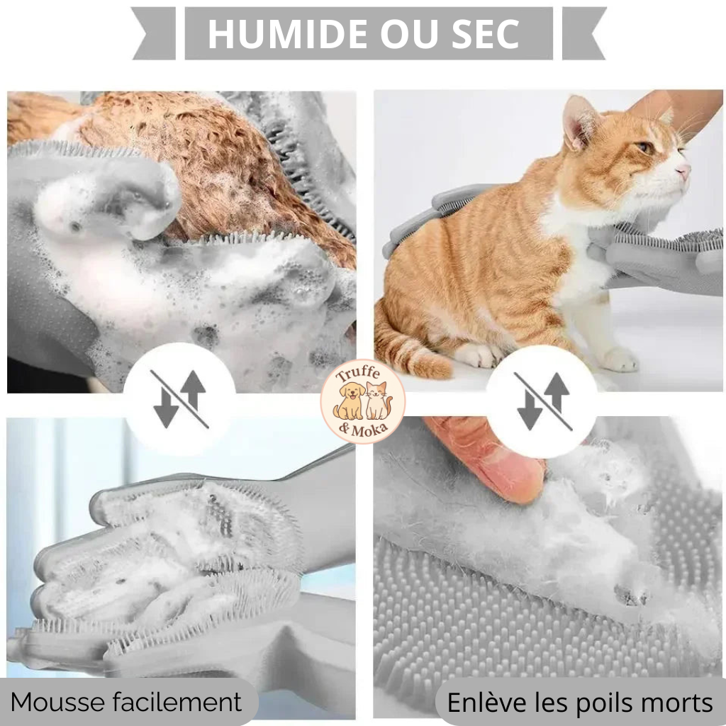 Les Mass’patounes - Truffe & Moka