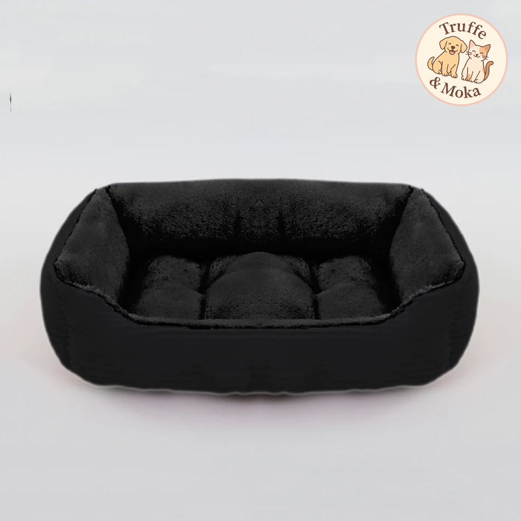 Le Calinabed - Truffe & Moka