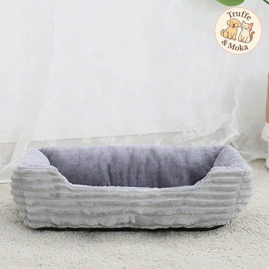 Le Calinabed - Truffe & Moka