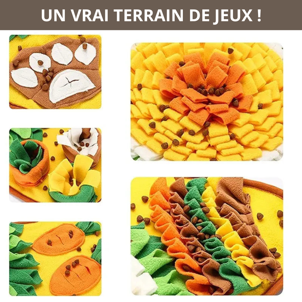 Le Miam & Sniff - Truffe & Moka
