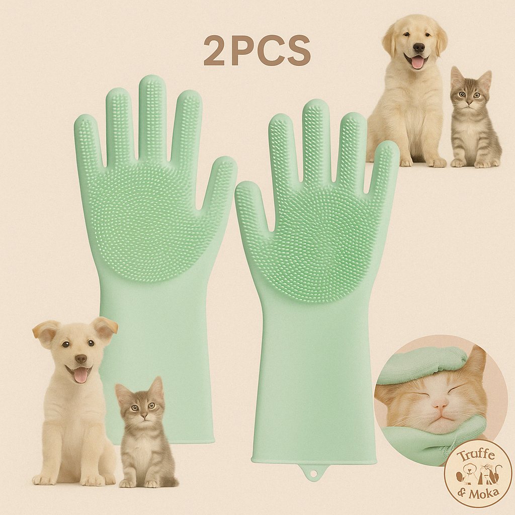 Les Mass’patounes - Truffe & Moka