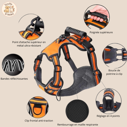 Le Toutou’Zen - Truffe & Moka