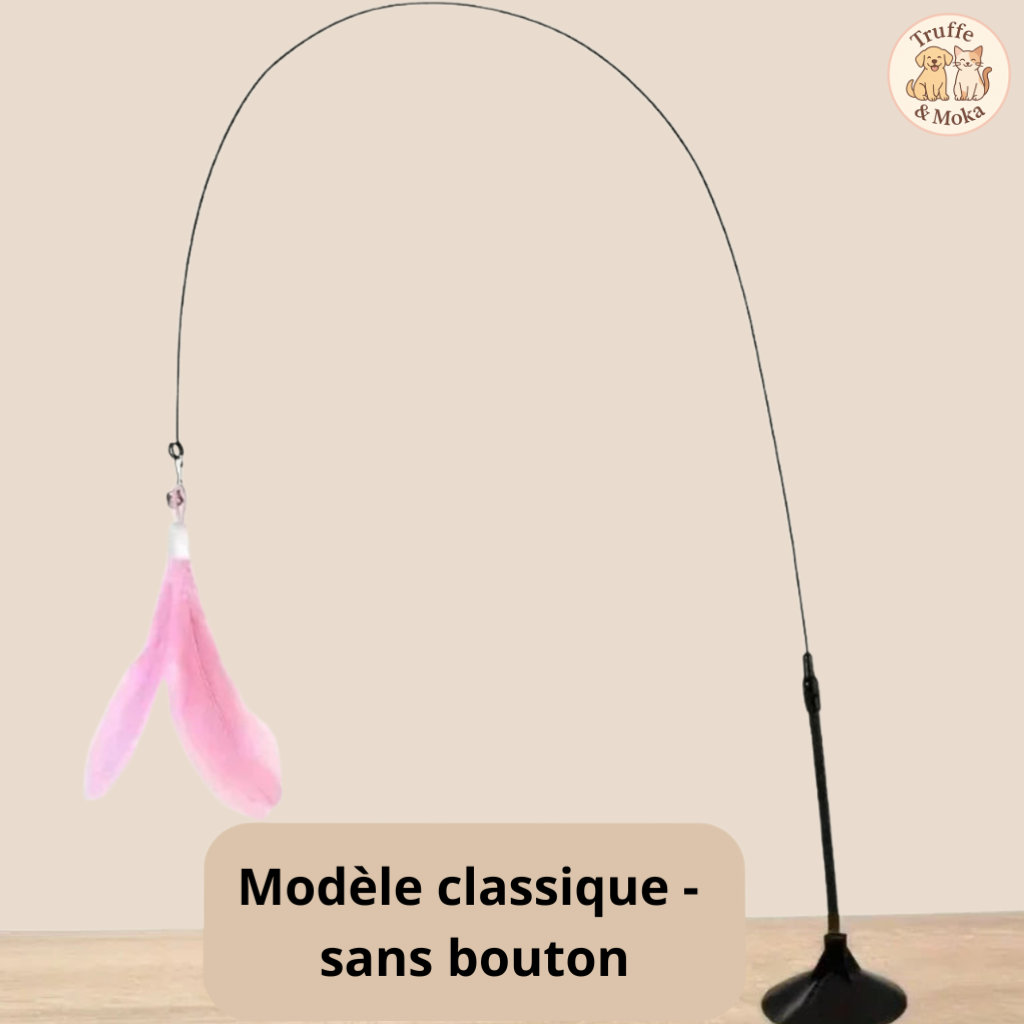 La Griffolette - Truffe & Moka