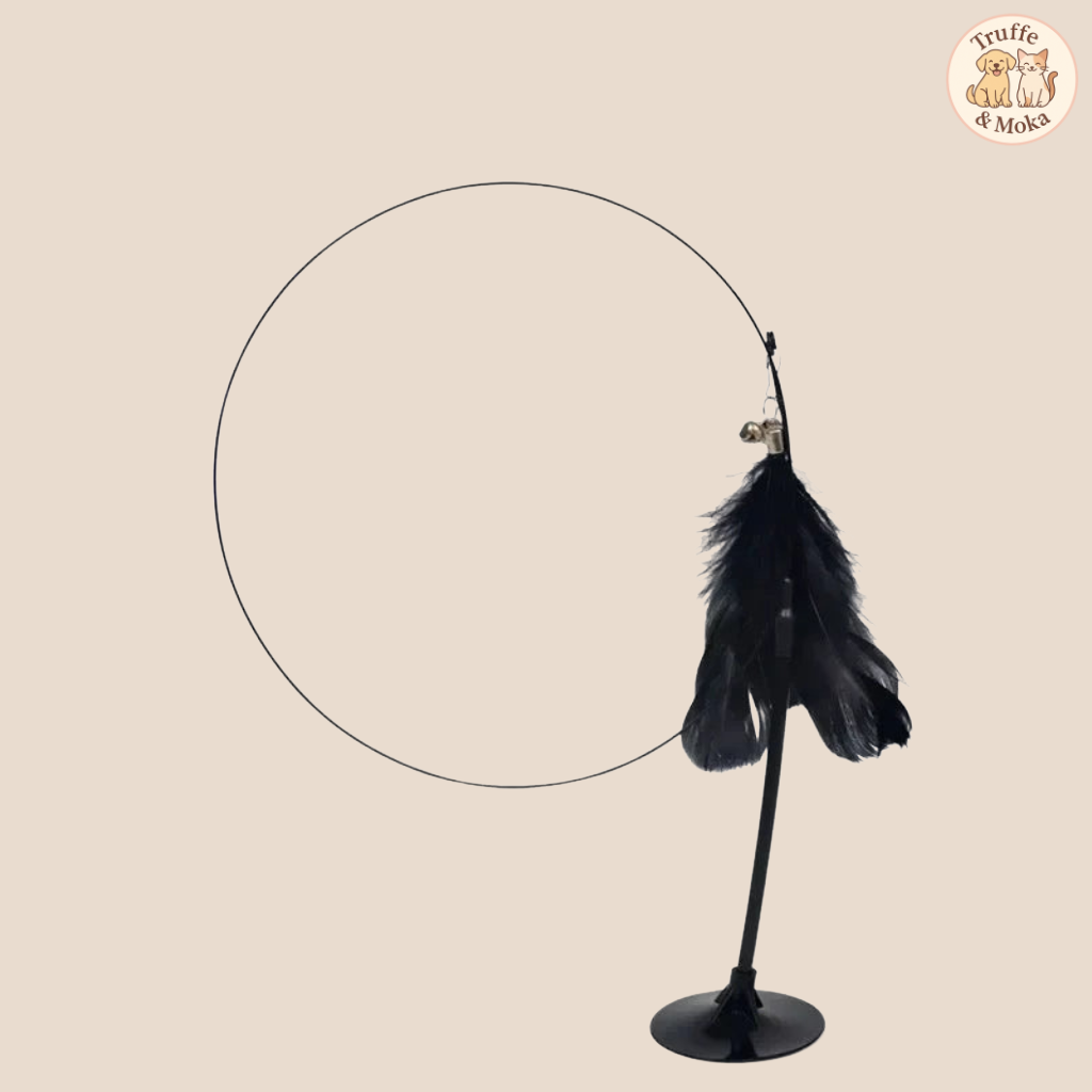 La Griffolette - Truffe & Moka