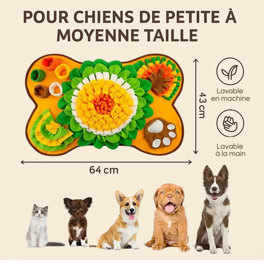 Le Miam & Sniff - Truffe & Moka